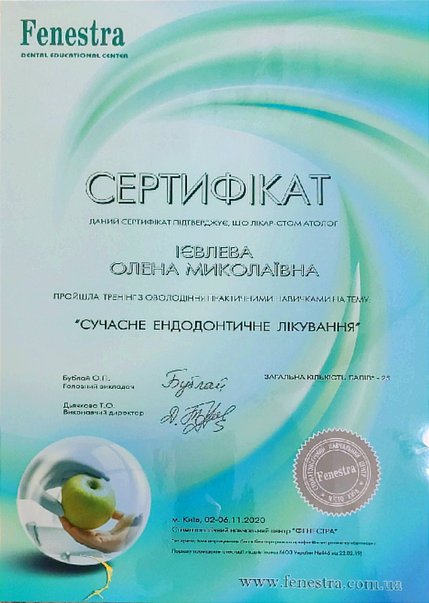 Ієвлева Олена Миколаївна - сертифікат 2